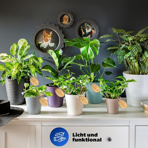 KADAX Blumentopf mit Untersetzer, Pflanzkübel für Innen, Leichter Blumenkübel, Pflanztopf aus Kunststoff, runder Übertopf für Blumen… – Ansicht 3