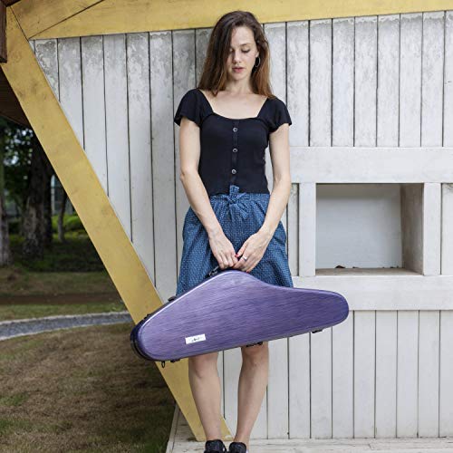 Aileen Csv-F18 Violin Hard Case 4/4 Full Size Luxury With Hygrometer Suspension, Purple #TOP2