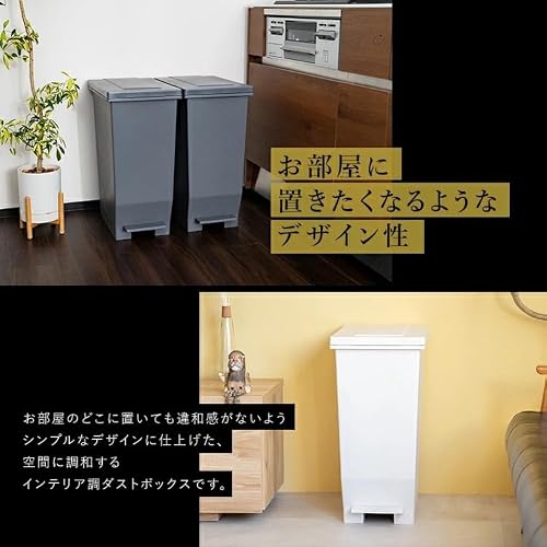 アスベル 密閉ゴミ箱 45L ECエバンMP
