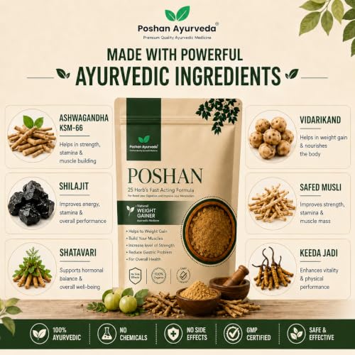 Poshan Powder Natural Weight Gainer and Digestion Booster - Image 4