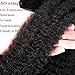 Viovian 2 Packs Springy Afro Twist Hair 16 Inch Pre-Separated Afro Spring Twist Hair Afro Kinky Twist Hair Wrapping Hair for Soft Locs Natural Black(1B#)
