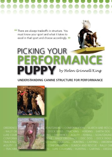 Picking your Performance Puppy