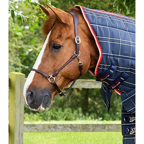 Couverture d'écurie pour cheval Domus 400g avec couvre-cou intégré - 5