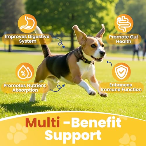 200 Count Probiotic Chew for Dogs-Probiotics Chews for Gut Digestive Health & Itchy Skin Support Relieve Diarrhea Enhance Immunity Breath Freshener with Enzymes Prebiotic Pumpkin-Chicken - Image 2