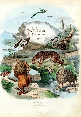 Art tableau animal marin 60x90cm pour une ambiance marine apaisante