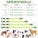 Illumifun Leuchthalsband Hund, USB LED Hundehalsband, Wiederaufladbar Hundehalsband Leuchtend für Hunde Einstellbare Größe, 3 Beleuchtungsmodi für Mittlere Hunde (Grün, M)