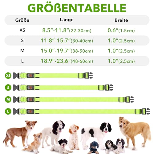 Illumifun Leuchthalsband Hund, USB LED Hundehalsband, Wiederaufladbar Hundehalsband Leuchtend für Hunde Einstellbare Größe, 3 Beleuchtungsmodi für Mittlere Hunde (Grün, M)