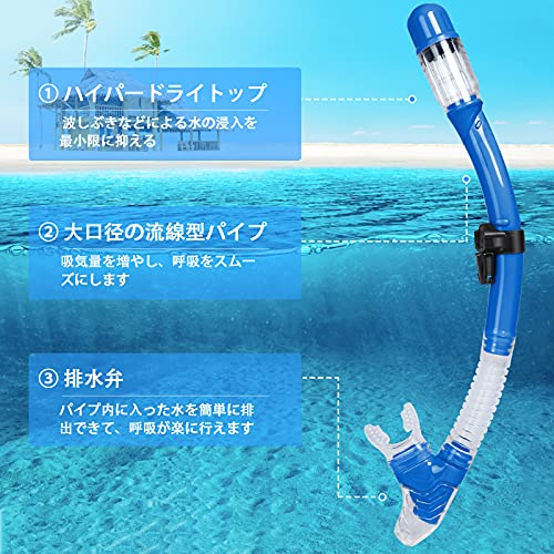 シュノーケル マスク2点セット 大人用 スノーケル シュノー