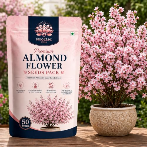 Image of Almond Flower Seeds - Low Maintenance -Grow In All Seasons.