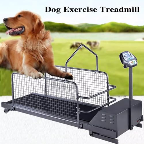 JMYTK Dog Treadmill Strengths