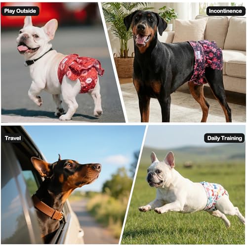 Image of Female Dog Diapers Reusable No Tail Hole Period Panties Washable Diapers Female for Docked-Tail Frenchie French Bulldog Boston Terrier Without Tail (2 Pack Regular+2 Pack Skirts) U-WWDQB06L