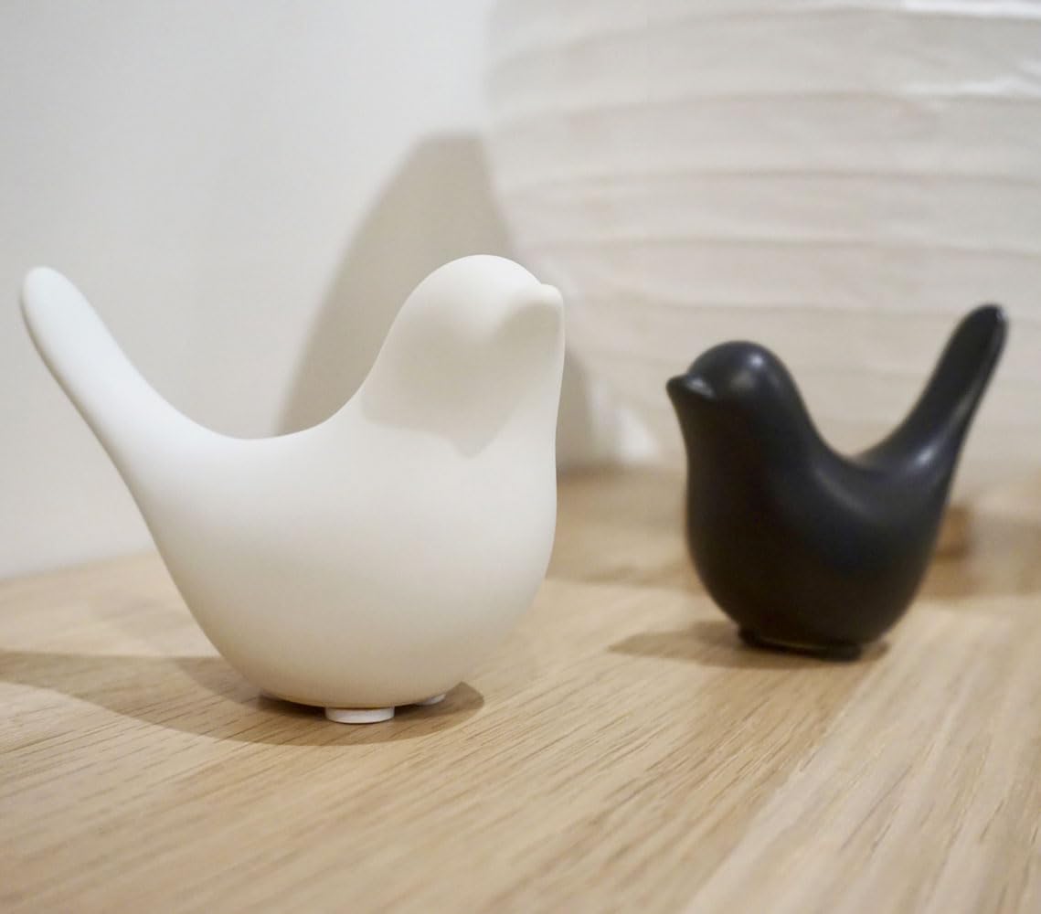VOFSBSFE Birds Decorations for Living Room,Minimalis Statues Bookshelf Decor,Cute Decor Aesthetic for Dorm, Bedroom, Bathroom,Office(Black&White)