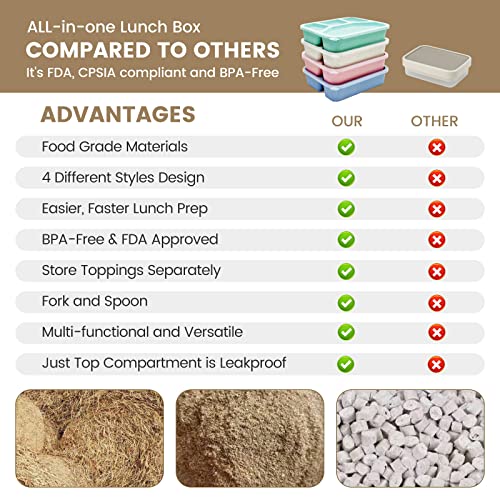 Shalory 4 Pack Bento Lunch Box For Kids,4 Compartment Divided Meal Prep Sncak Container,Freezer Microwave And Dishwasher Safe Food Storage,Reusable Bento Adult Lunch Box For School Work Travel #TOP6