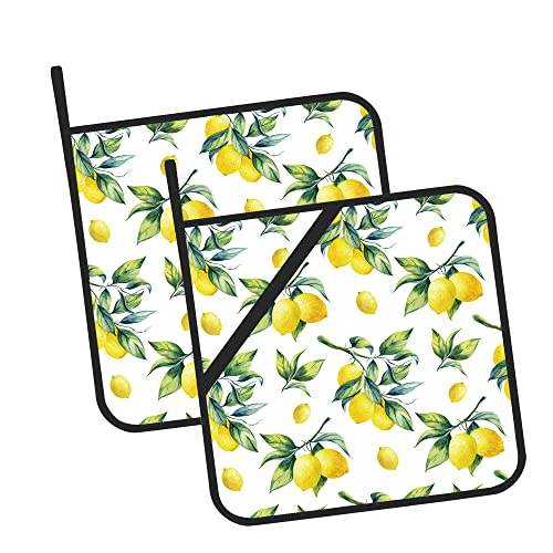 Lemon Watercolor Pot Holders Set Of 2 Kitchen Heat Resistant Potholder For Microwave Cooking Baking Oven End Dishes And Bbq #TOP18