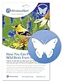 WindowAlert Butterfly Anti-Collision Decal - UV-Reflective Window Decal to Protect Wild Birds from Glass Collisions