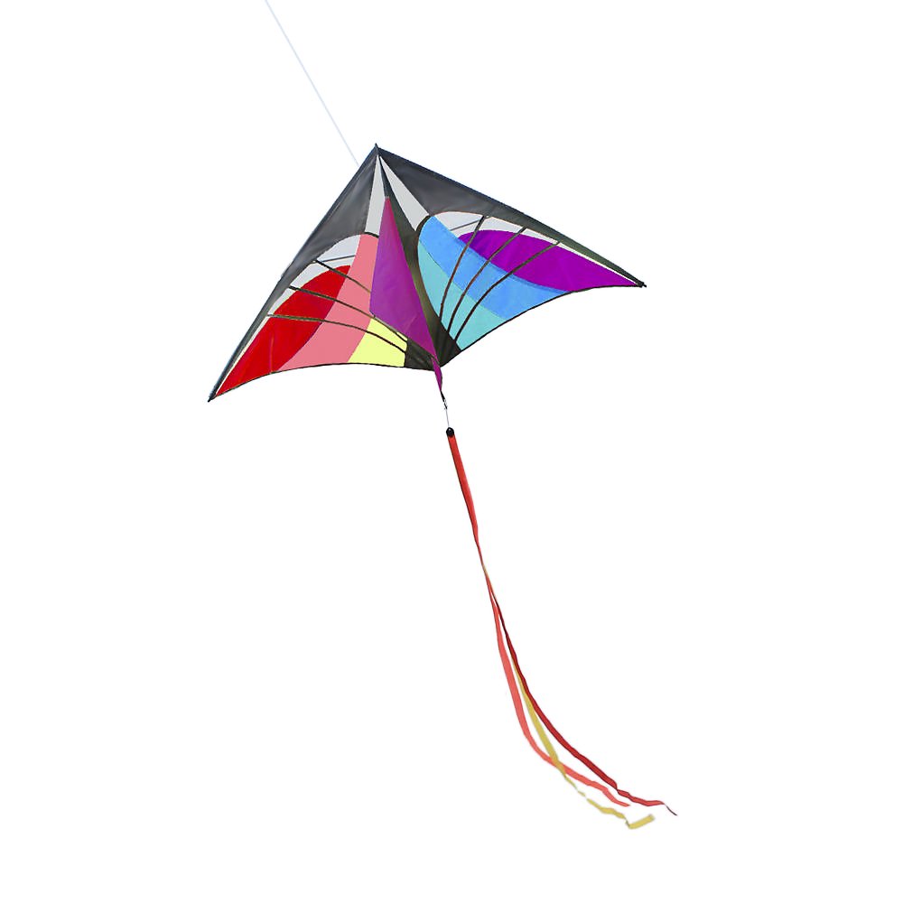Kite,160 x 90cm / 63 x 35.5in Large Delta Kite Outdoor Sport Single Line Flying Kite with Tail for Kids Adults