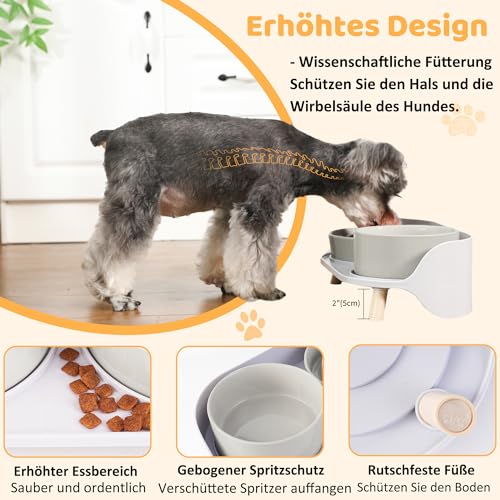 Antischlingnapf Hundnapf Erhöht Keramik Napfset - Doppel-Fressnapf für langsames Fressen - Futternapf & Wassernapf mit rutschfestem Kunststoff-Ständer - Für kleine und mittelgroße Hunde