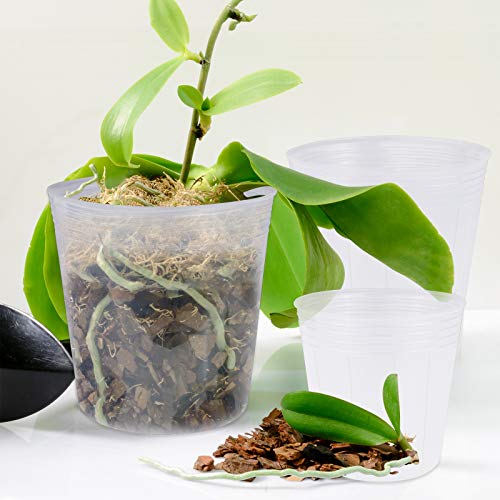 Elcoho 36 Pack 6/5/4/3 Inch Plant Nursery Pots Transparent Plastic Gardening Pot Soft Seed Starting Pot Flower Plant Container with Drainage Hole for Seedling Succulent Vegetable Flowers - Thumbnail 5