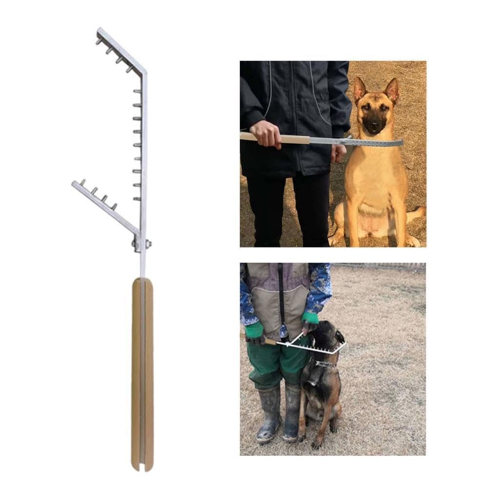 Baoblaze Palo de Entrenamiento para Perros portátil, Resistente, Ligero, Herramienta de Entrenamiento para Perros, Equipo de Entrenamiento para Perros
