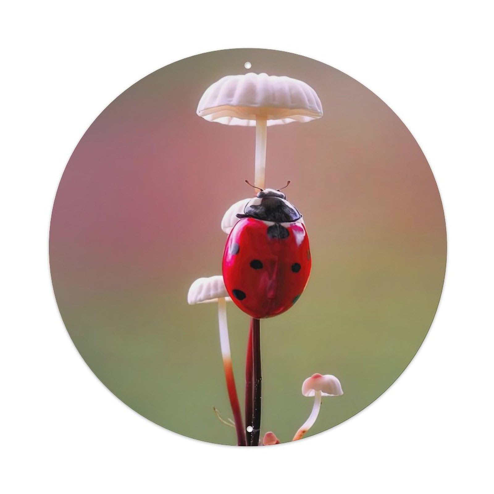Insect The Seven-star Ladybird Under The Mushroom Vintage Metal Tin Sign Plaque Wall Decor for Cafe, Club Bar, Office, Garden Metal Poster 8x8Inch