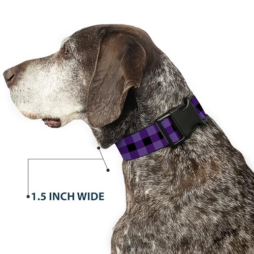 Collares de moda para mascotas Buckle-Down que evitan tirones en perros 8