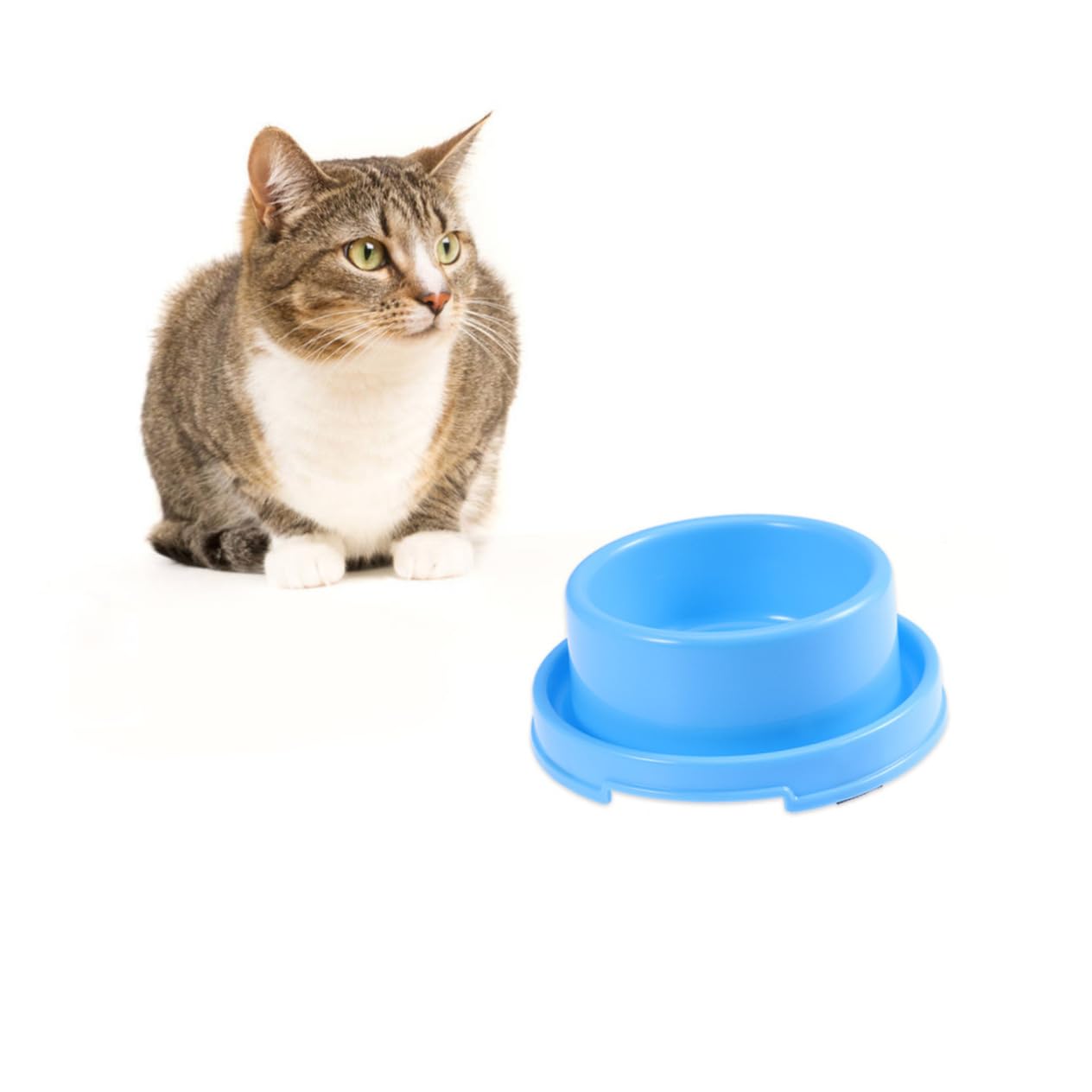 POPETPOP 3st Hundenapf Für Wassernapf Für Welpen Schüssel Zum Servieren Von Katzenfutter Hundenapf Im Freien Großer Hundenapf Anti-ameisen-katzennapf Fressnäpfe Für Hunde Outdoor-Hund Klein