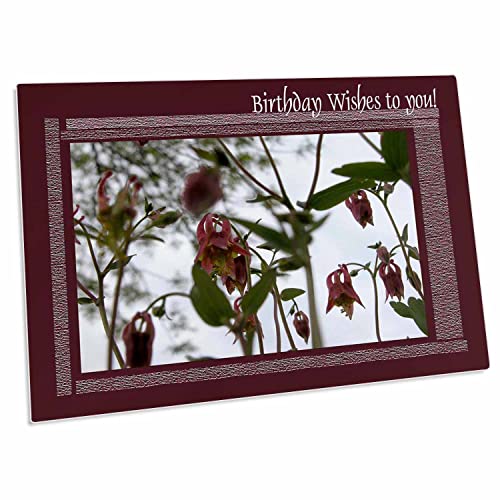 3dRose Columbine Flowers Birthday Wishes Desk Pad miniatura 1