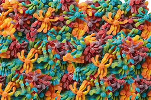 Trolli Sour Brite Octopus, Sour Gummy Candy, 5 Pound Bulk Bag #TOP3