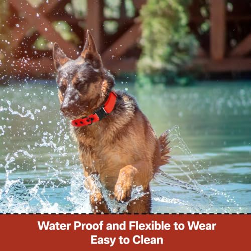 Image of Adil's Biothane Waterproof Dog Collar, Dog Leash & Collar Leash Combo | Heavy Duty TPU Coated Webbing | Adjustable Quick Release Buckle | Odour Resistant (Red, L-22, Collar only)