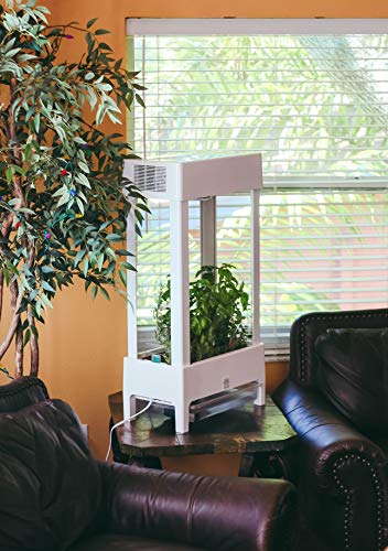 Get Niwa - RanaMedia LTD Hydroponics System Growing Indoor Gardening Kit Certified iPhone iOS App Control LED Plant Grow Light Nature Durable Frame Not Tent Ideal for Herbs Seeds Vegetables Flowers