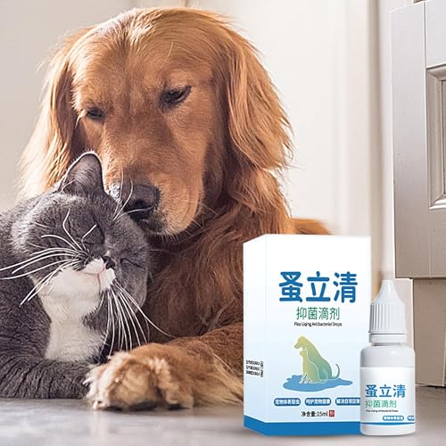 Spray de alívio de coceira para gatos, spray de carrapato para cães,15 ml de coceira coceira alívio