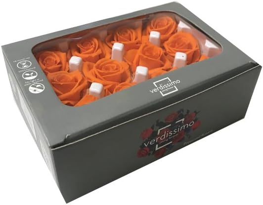 Verdissimo USA Preserved Rose Heads (Small (Mini), Orange)