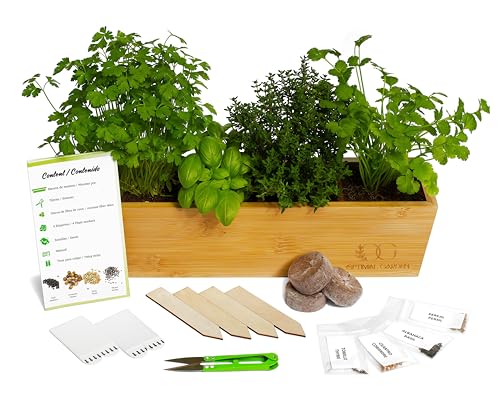 Optimal Garden Kit de Cultivo de Plantas Aromáticas y Culinarias - Mini Huerto Urbano Terraza (Cilantro - Perejil - Albahaca - Tomillo) - Kit Completo para Cultivar Fácilmente Tus Hierbas Frescas