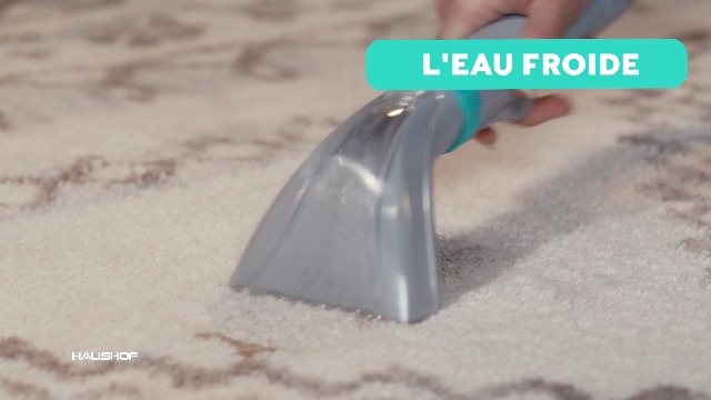 Haushof - StainZapper Vapo 3 en 1 Nettoyeur Vapeur de Tapis, Shampouin... pas cher