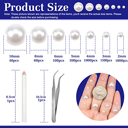 TOAOB 13000pcs White Flat Back Pearls Half Round Pearl Beads 2mm to 10mm Flatback Bead Mixed Sizes for DIY Crafts Embellishment Nail Shoes Dress Phone Case Jewellery Making Decoration Accessories - Image 2