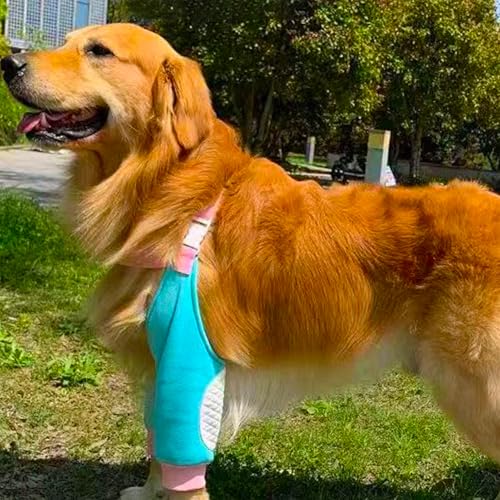 Image of Dog Elbow Pads Knee Protector Wraps Elbow Callus Treatment Sleeve for Wounds Front Legs Stop Licking Medium Large Dogs 2XL, Blue