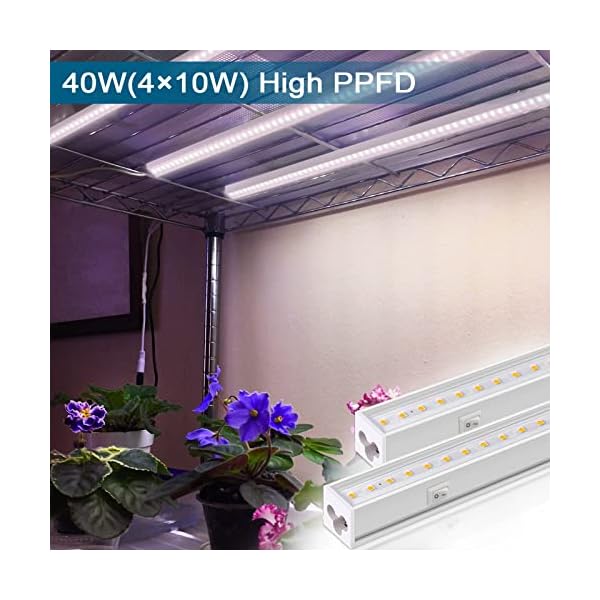 Barrina Wachstumslichter für Zimmerpflanzen, Vollspektrum-Sonnenlicht, 0,6 m 40 W (4 x 10 W, entspricht 250 W), LED… – Bild 3