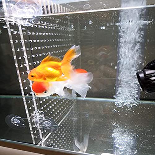 Alfie Pet - Rishi Aquarium Fish Tank Acrylic Divider Isolation Board (Suction Cup Included) - Size: Large #TOP3