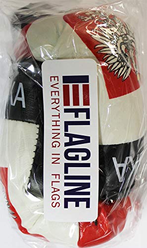 Flagline - Polen Boxhandschuhe (Schwarz) - Boxen - Training - Sport