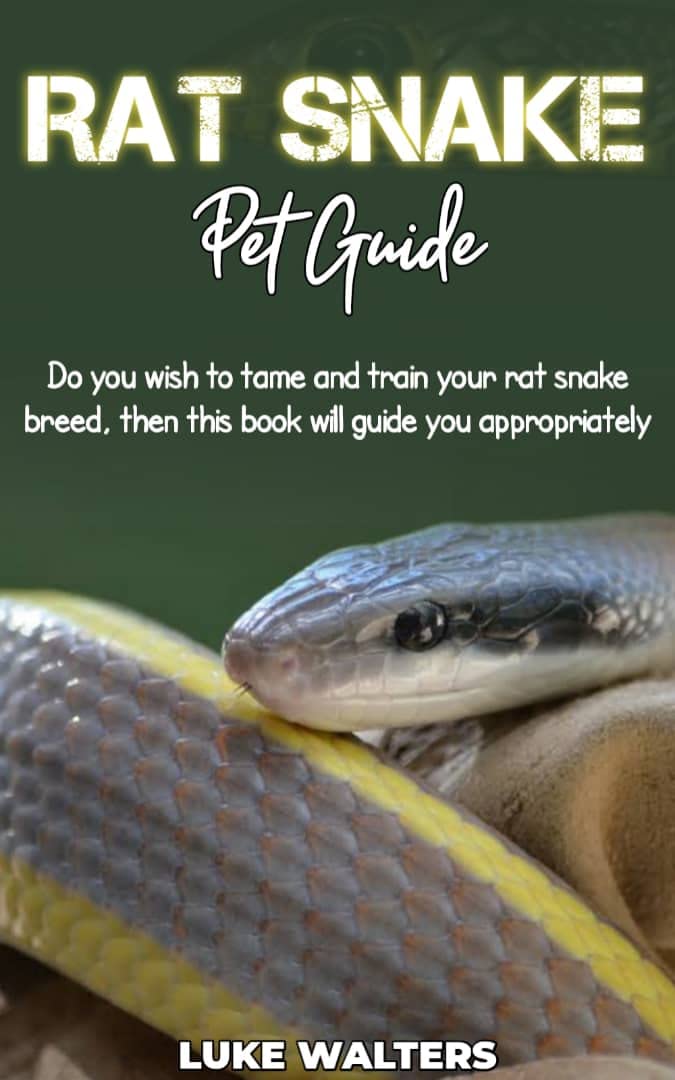 RAT SNAKE PET GUIDE: Do you wish to tame and train your rat snake breed, then this book will guide you appropriately