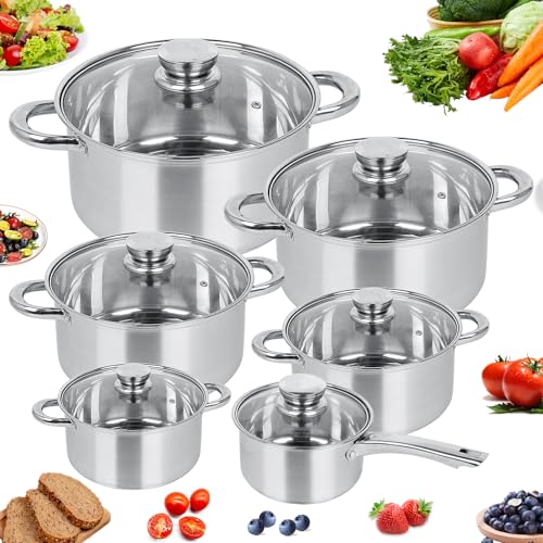 Caossuixin Edelstahl-Topfset, 12-teilig, Kochtopf-Set, Kochtopf Set mit Glasdeckel, Spülmaschinen-geeignet, Induktion, Induktions Töpfe Set stapelbar, Alle Herdarten, Silberfarben