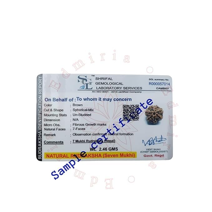 Nepali Rudraksha Beads 2 Mukhi 3 Faced, 4 Mukhi, 5 Face, 6 Mukhi, 7 Mukhi Certified Natural Himalayan Rudrakhsha Beads for Healing, Pooja, Meditation, Prayer, Japa3