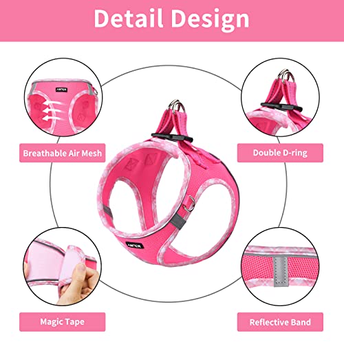 Amtor Dog Harness With Leash Set,No Pull Adjustable Reflective Step-In Puppy Harness With Padded Vest For Extra-Small/Small Medium Large Dogs And Cats(Fuchsia,M) #TOP2