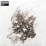 Environmental Meditation Music (EMM) [Vinyl LP]