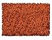 Scenic Express 877B Burnt Orange Coarse 32 Oz