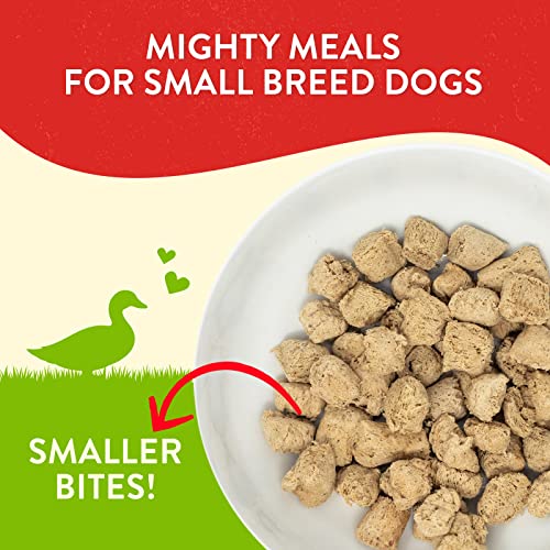Stella & Chewy’s Lil’ Bites for Small Breed Dogs – Dainty Duck Recipe – Protein Rich, Grain Free Dog & Puppy Treat – Great Meal or Snack for Training & Rewarding – 7 oz Bag