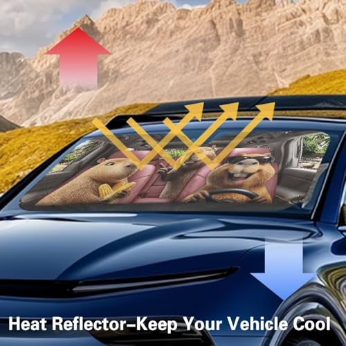 Image of Capybara Car Front Windshield Sun Shade Auto Sun Shades Foldable Automotive Interior Accessories for Sun Protection Auto Sun Heat and UV Rays Blocker