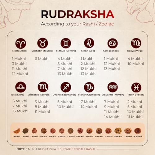 Image of Divine Hindu Nirakar (Zero Mukhi) Rudraksha | Rare Natural Rudraksha Bead | Original Rudraksha for Moksha, Spiritual, Meditation, Healing, Protection & Energy Balance & Positive Vibes