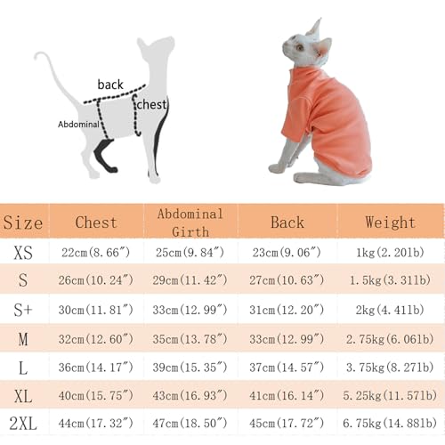 Pullover chat sans poils vêtement thermique Devon Rex Peterbald - 3