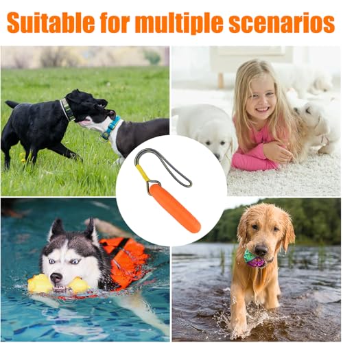 Wasser Interaktives Hundespielzeug, 22 cm Floating Hundespielzeug, Wasserspielzeug für Hunde, Hunde Spielzeug Schwimmend mit Nylon Rope, für Mittelgroße Große Hundes Trainieren Apportieren im Wasser